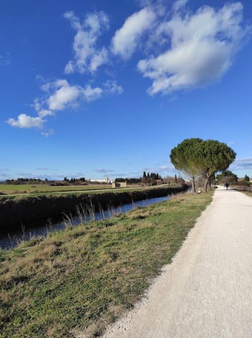 Mobil-Home Dans Un Beau Cadre A 15 Km Des Plages. Lunel  Kültér fotó